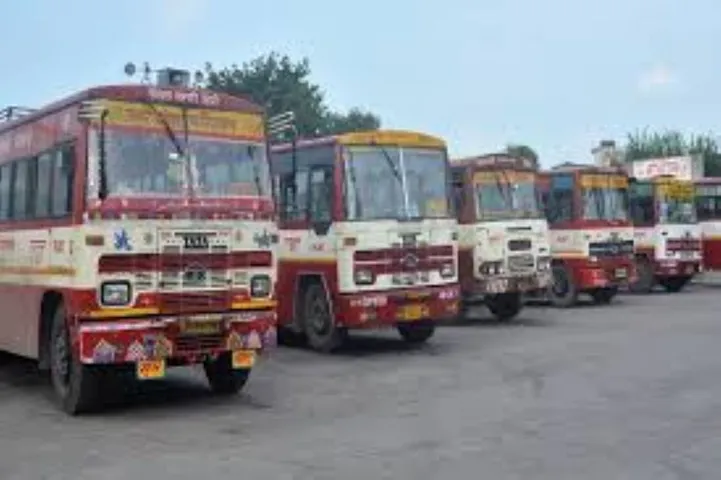 वाईवीएन